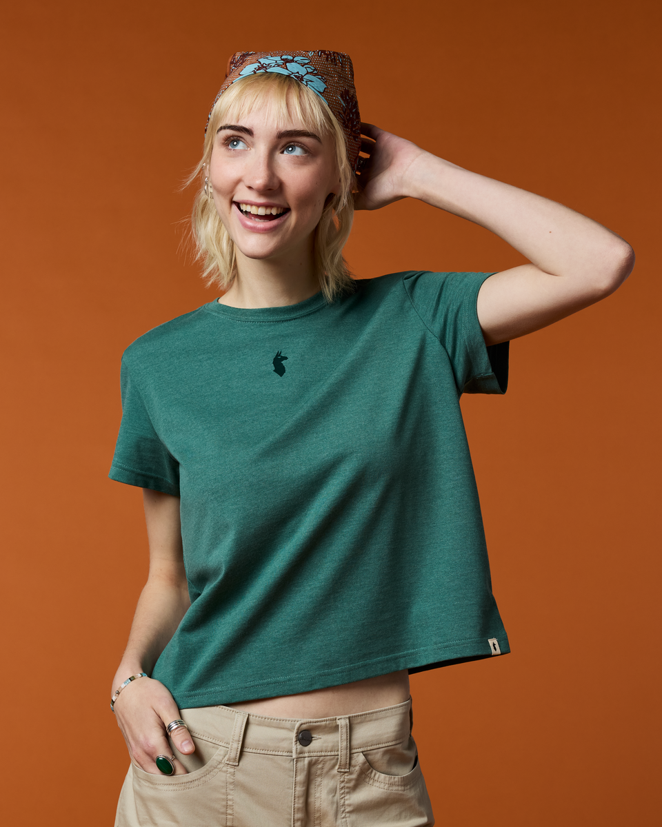 Llama Icon T-Shirt - Women's